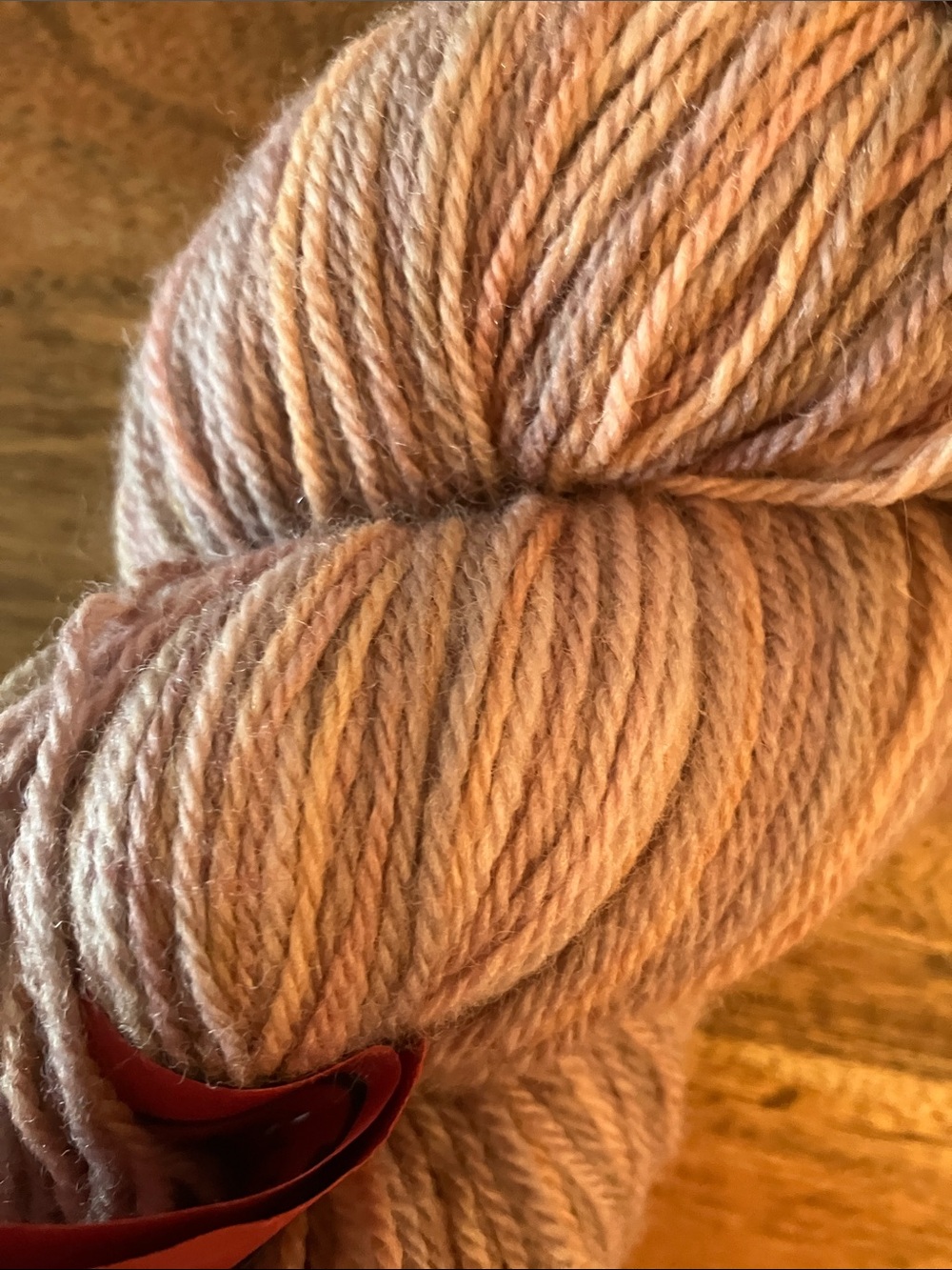 Mountain Colors Hand Painted Yarn 100g 350 Yards  worsted Wool Taupe